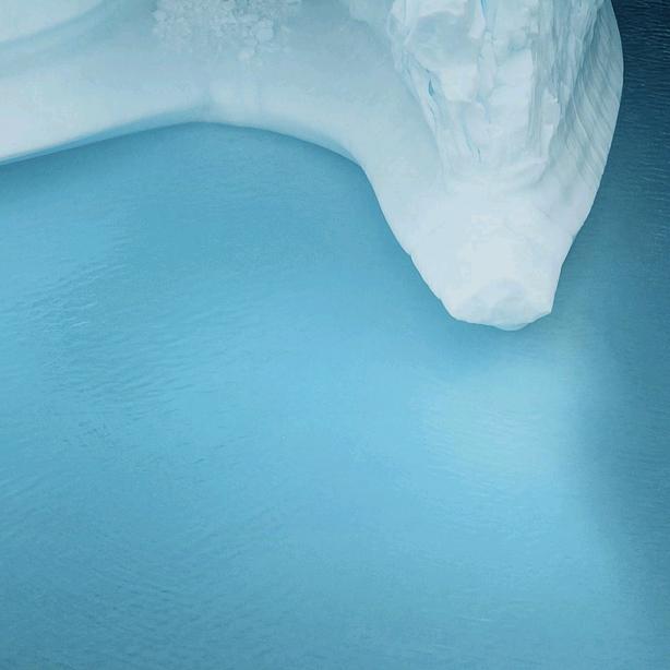 水鱼