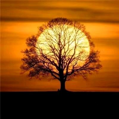 追风少年上午11点到4点，开播