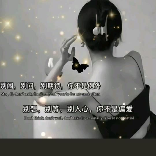 骄傲蔷薇花