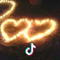 Z(｡･ω･｡)ﾉ♡L