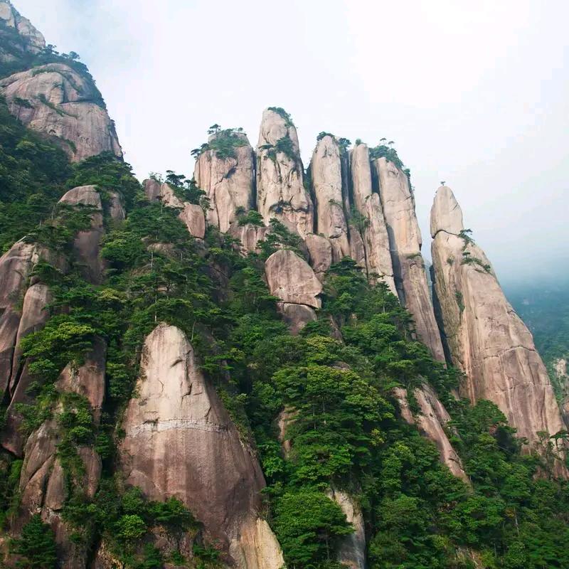 静儿吖¹