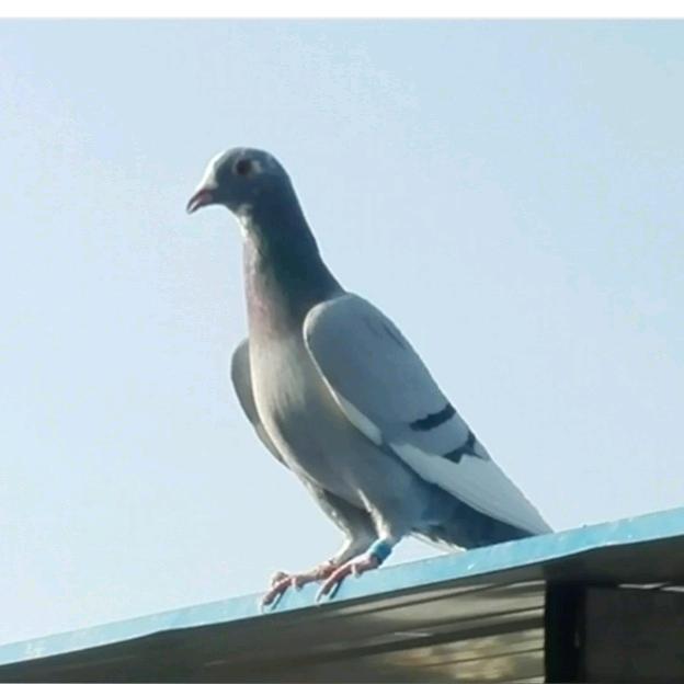 迷茫，6077450051523：迷