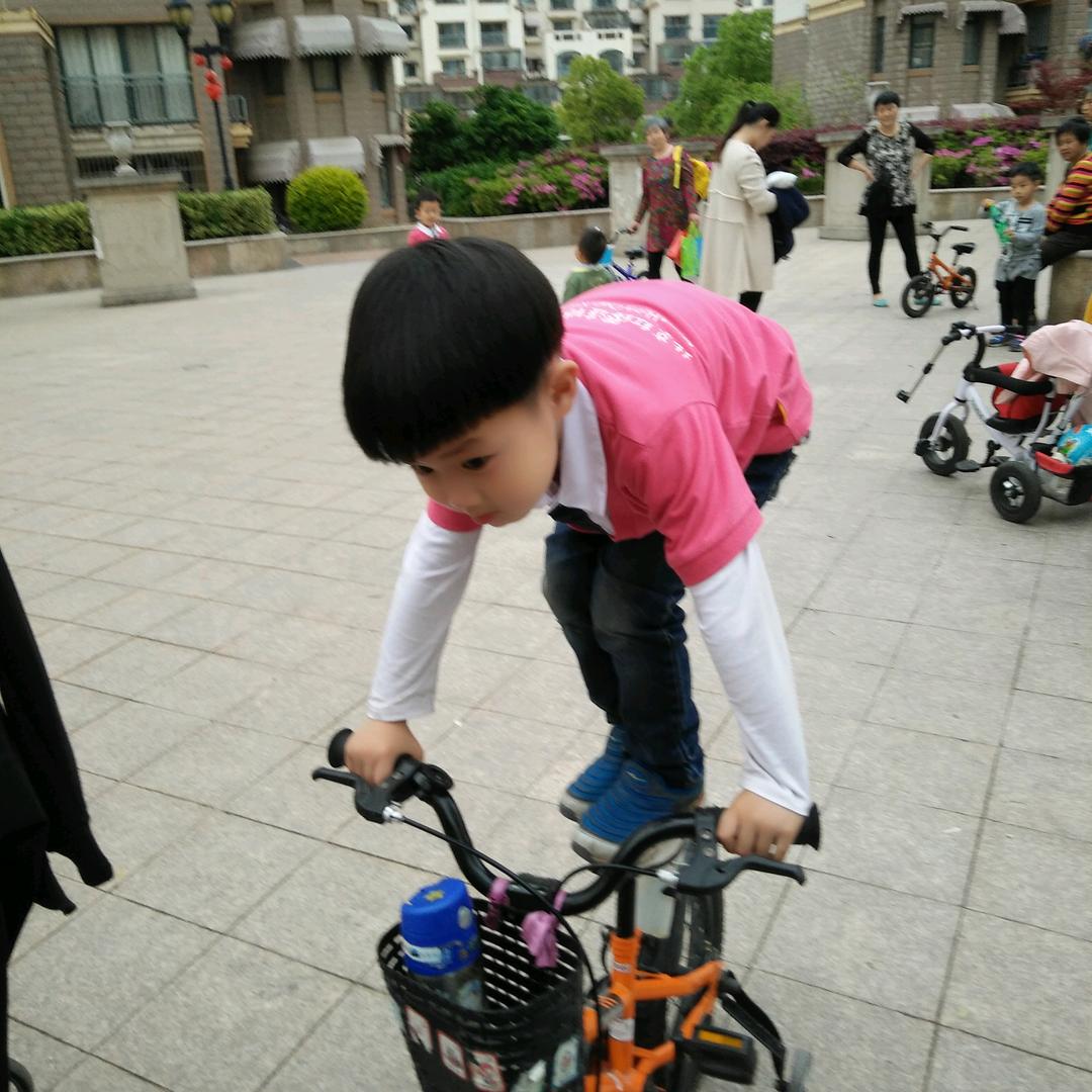 奚顶兴