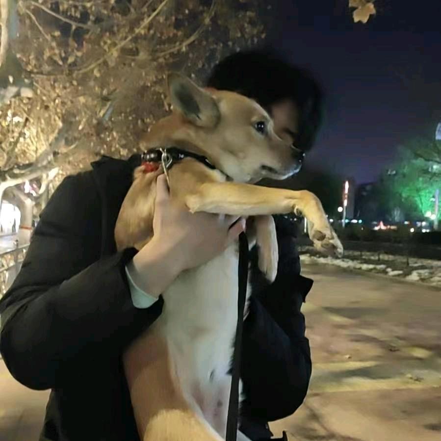 一万次的春和景明