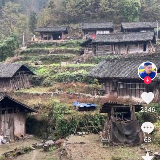 布依单身❤️的女人🌻🌸