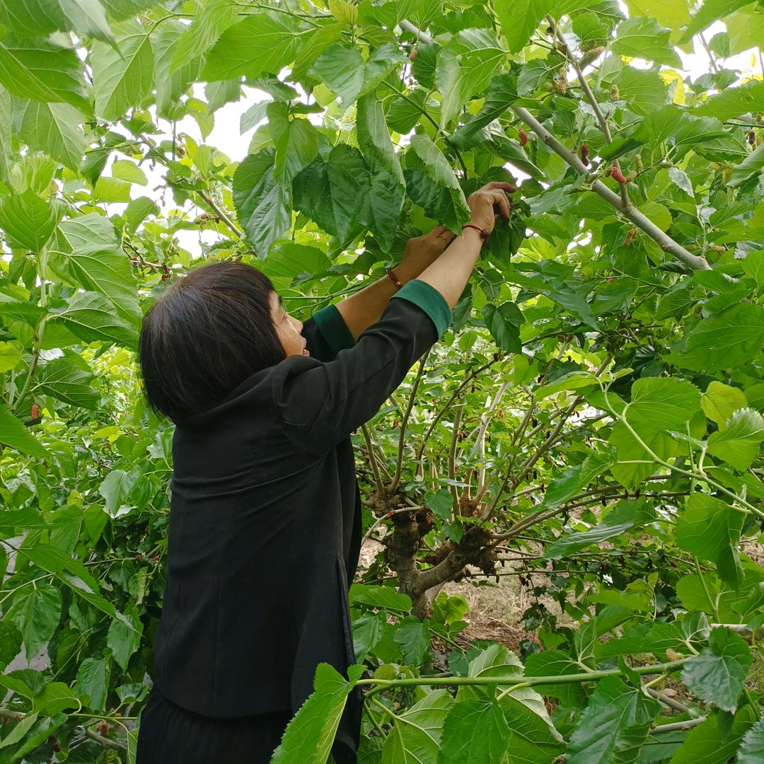 凌云大厦三楼诺漫莉莎女装陈