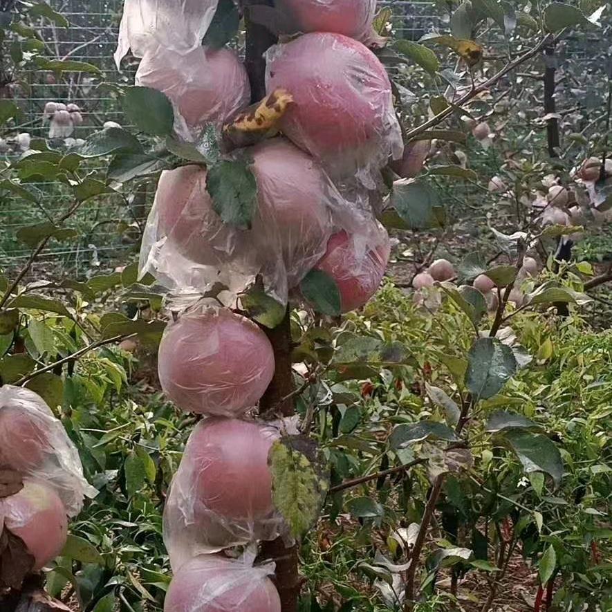 家的温暖
