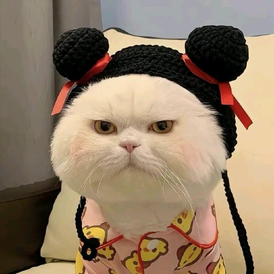 诺贝尔可爱奖