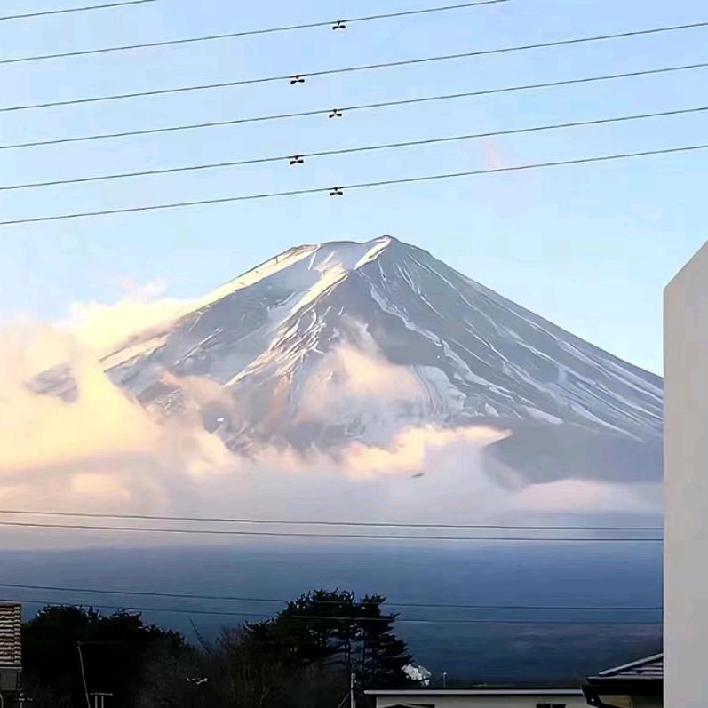 踏踏实实