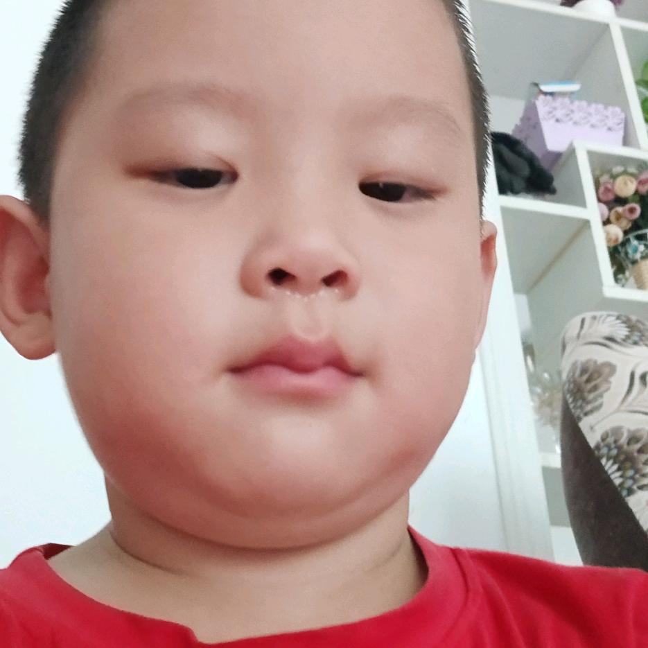 朱哥