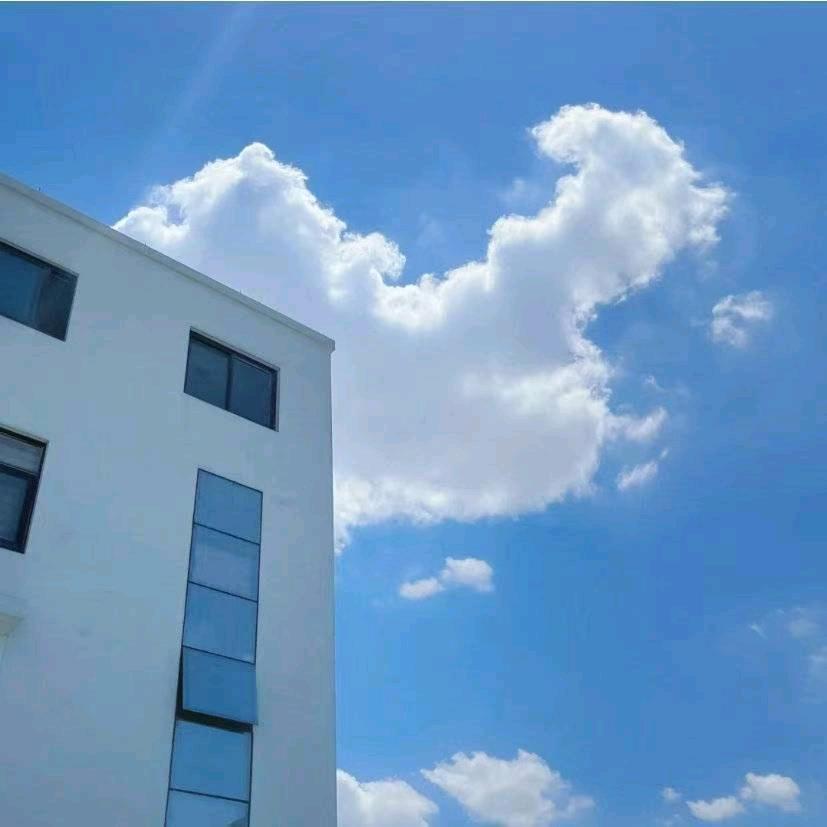 🌈阿垚🏃‍♂️