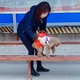 👸知足常乐🌻