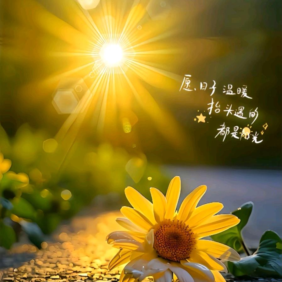 💫心之所向✨