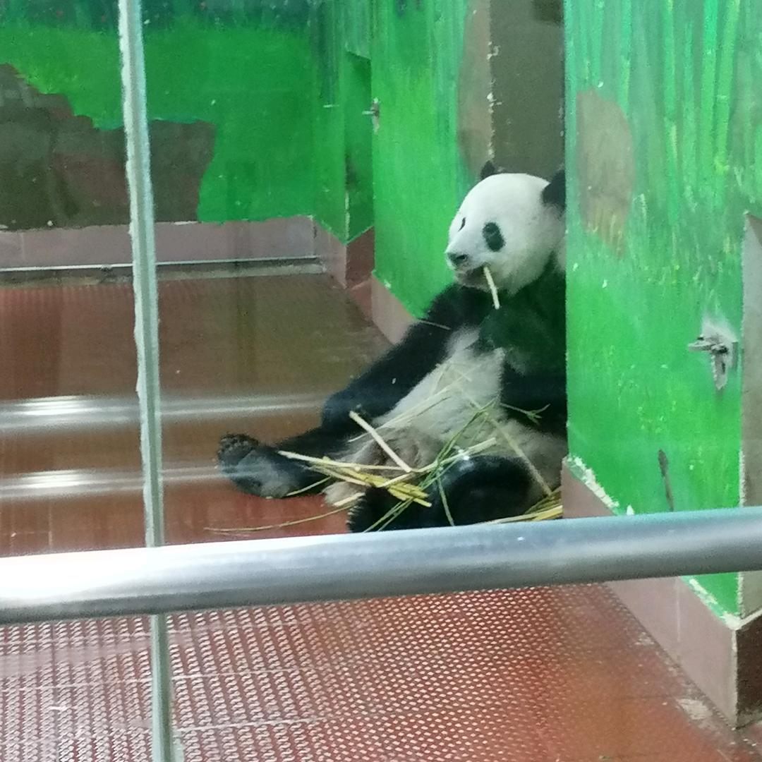 可清叔叔25