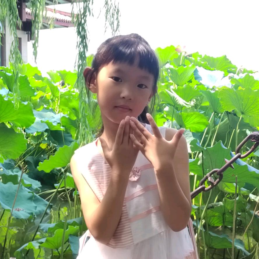 依情快递环保袋