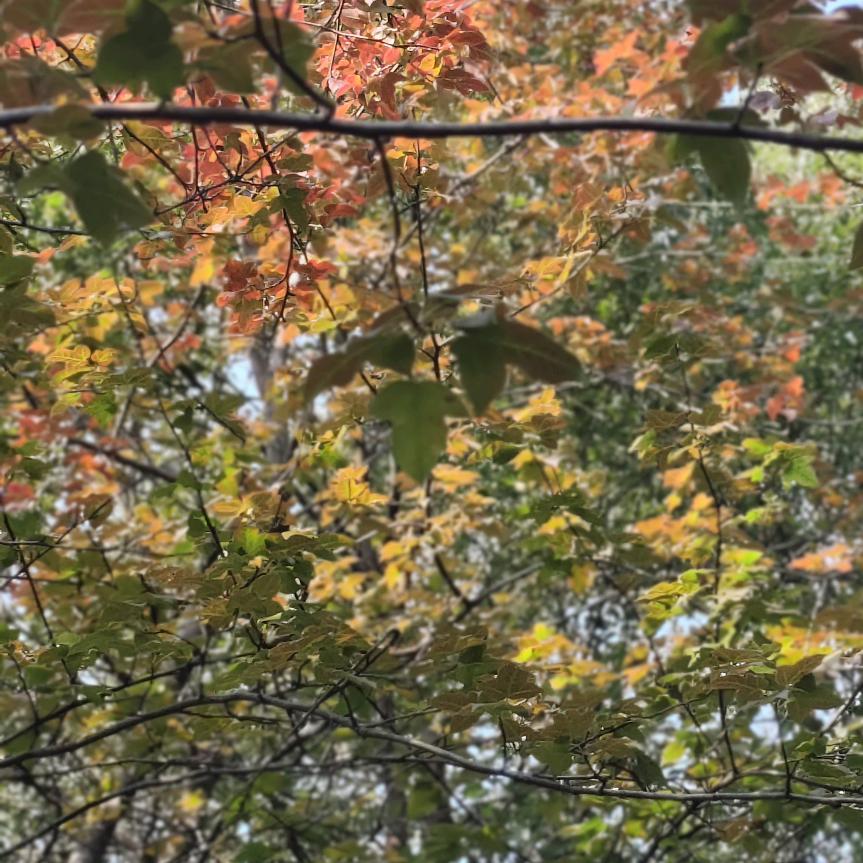 余生好好爱自己