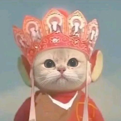 搪长老