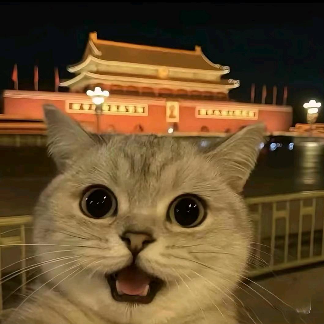 家有俩宝。