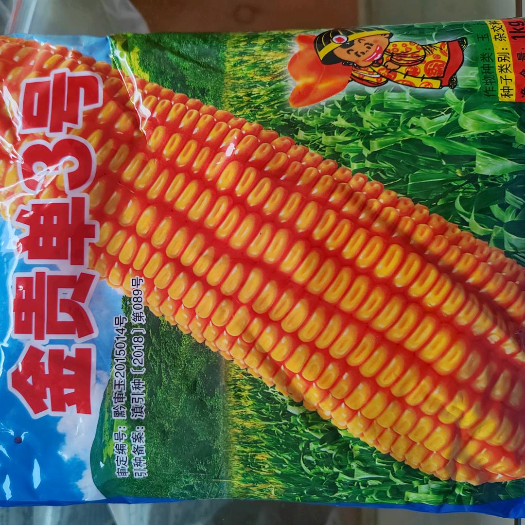 小街锦来农资—宋锦来