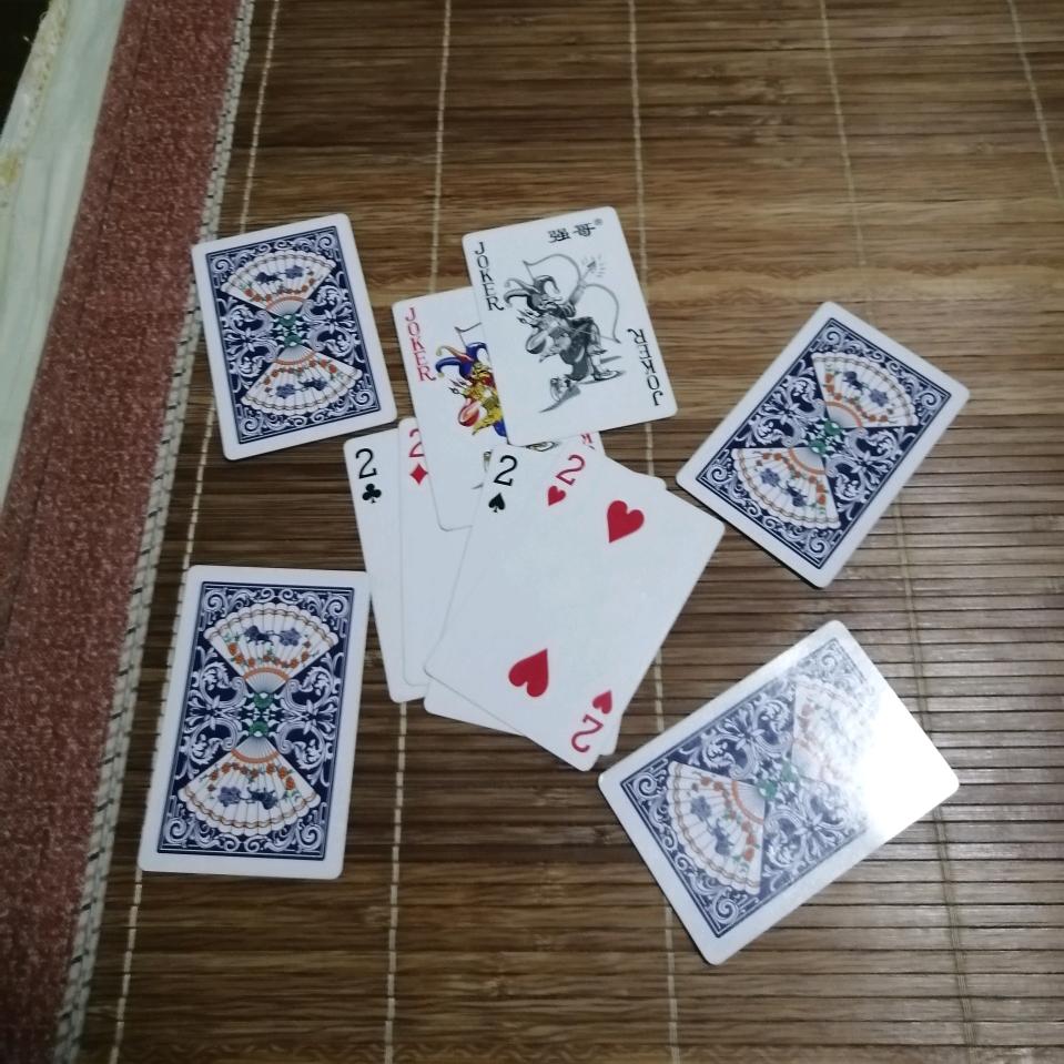 斗地主高手（我）