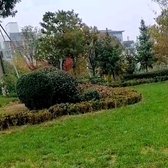 🍒红尘有你🍒