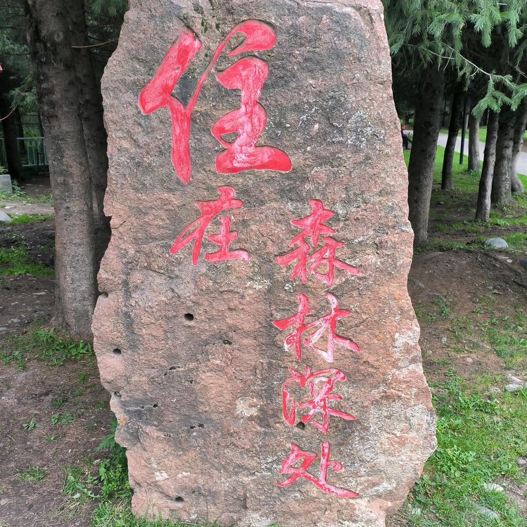 此号已重置