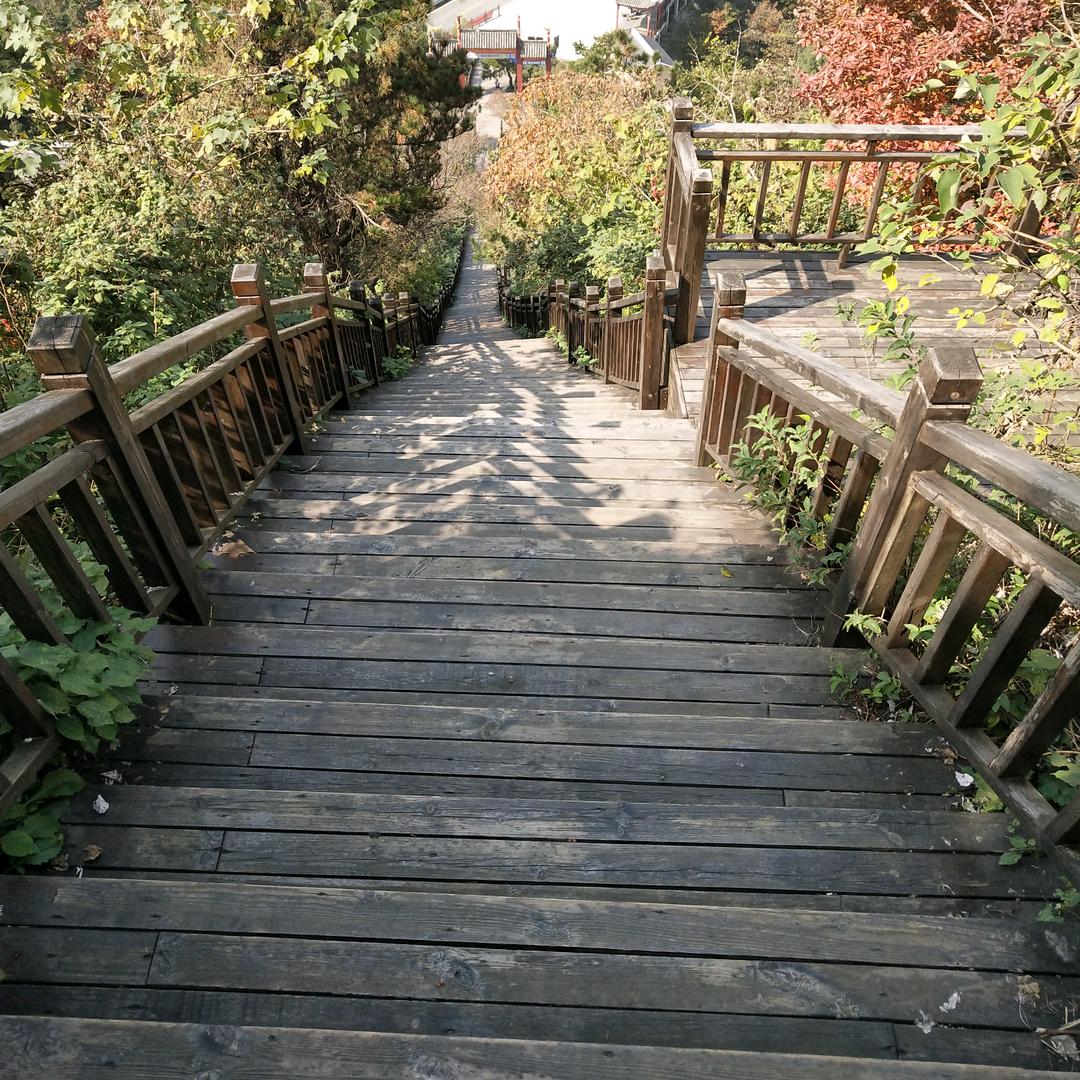 启畅