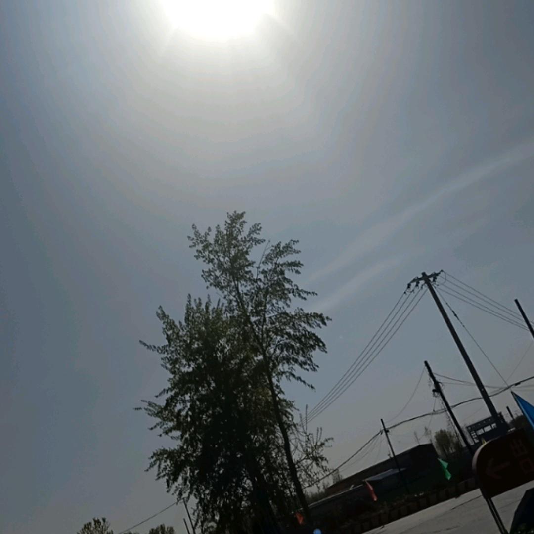 云上剧场头像