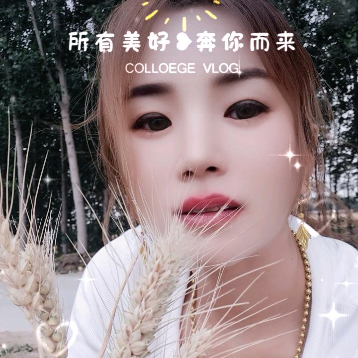曹姐
