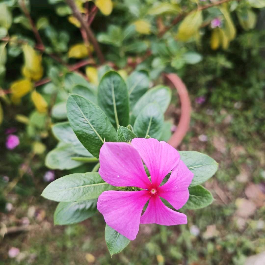 💐