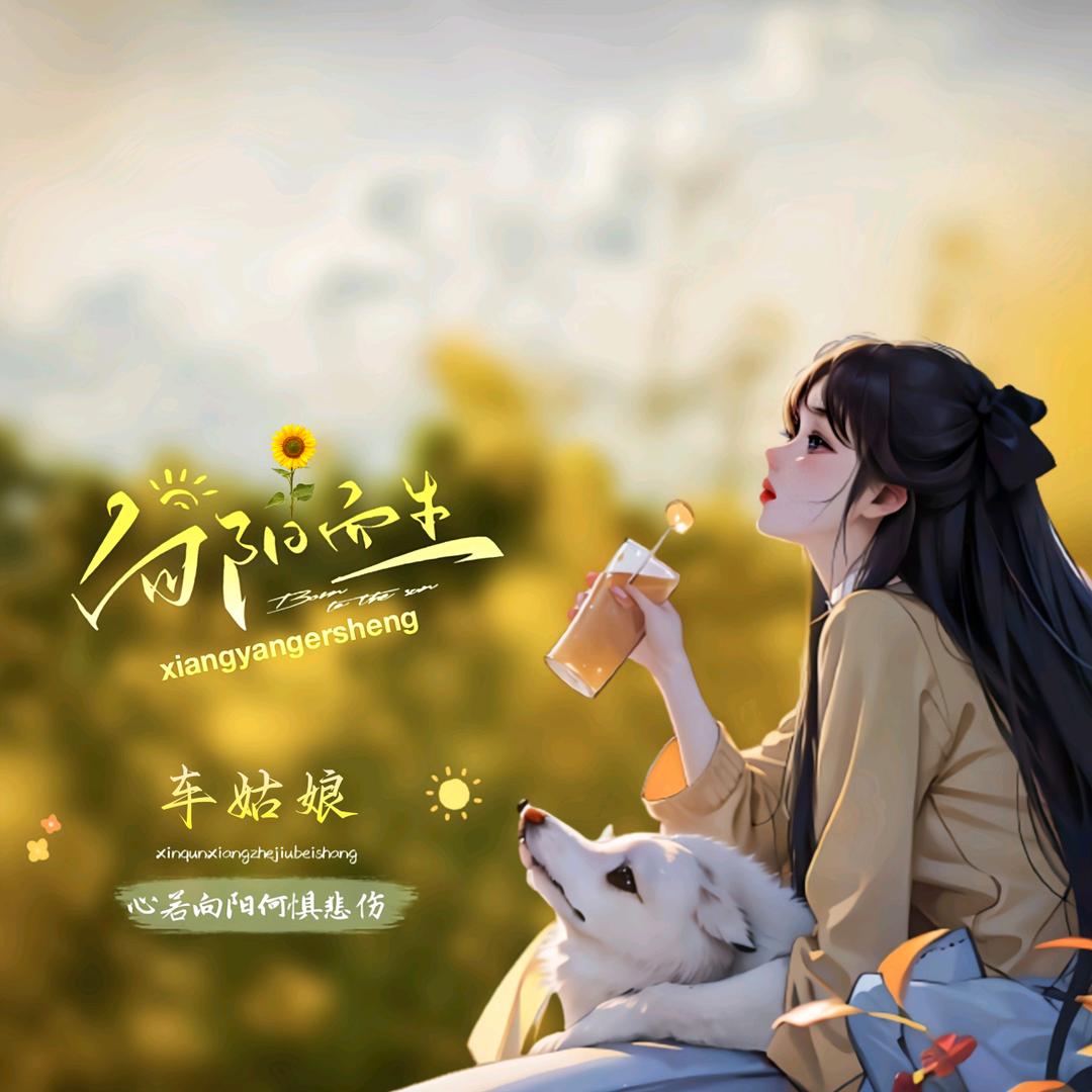 ಢ᭄向阳而生🌺ོᝰ᭄～小车老师