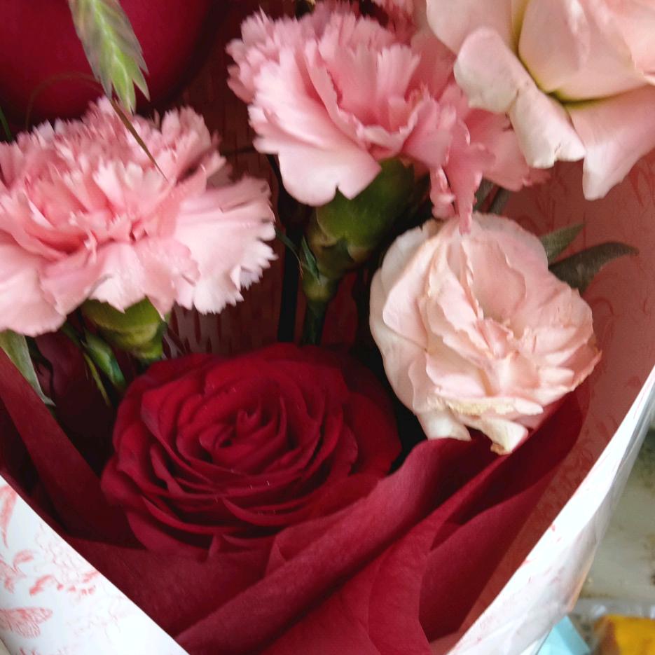 简简单单的生活