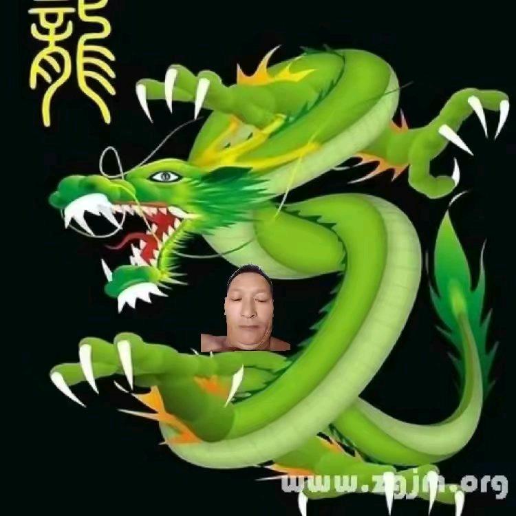 陆飞哥大英雄