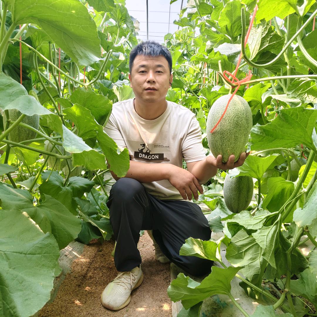 管理员阳禾@刘