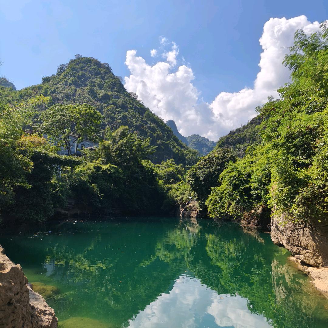 黑米红豆