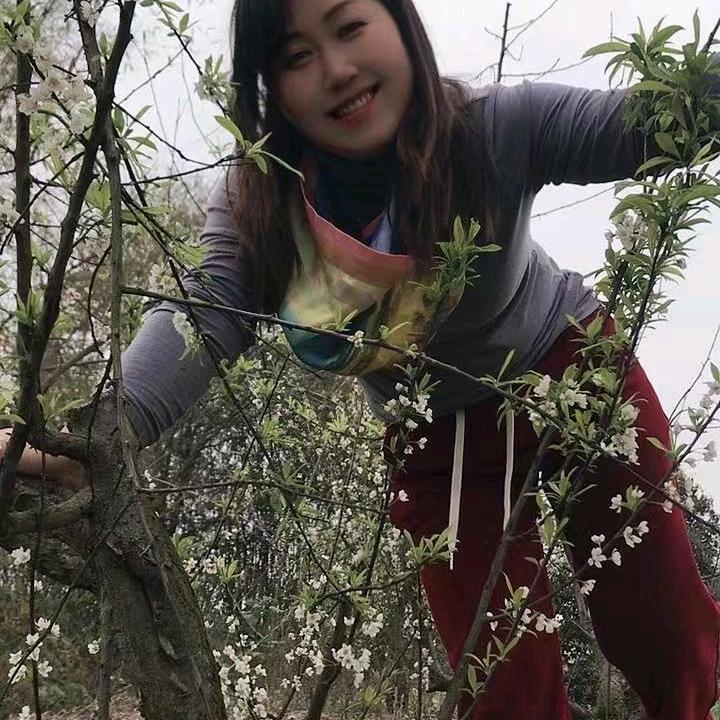 罗大姐