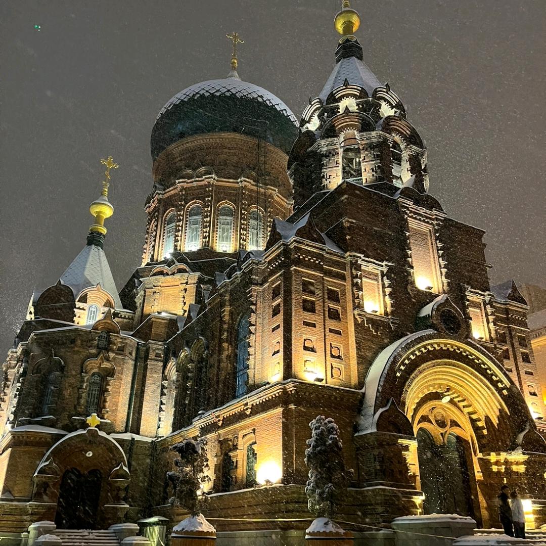 别打我真不开玩笑