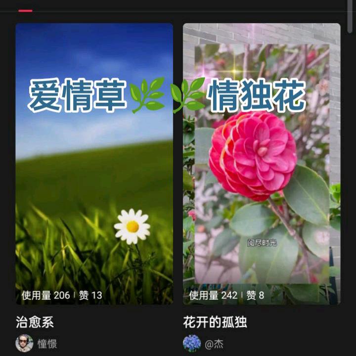 余生不将就