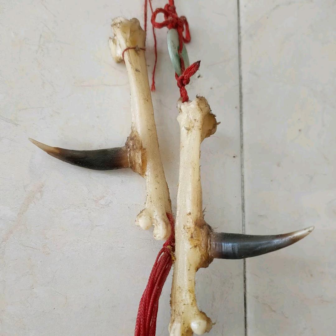 💞࿐覃ღ᭄世界由来᭄🤝