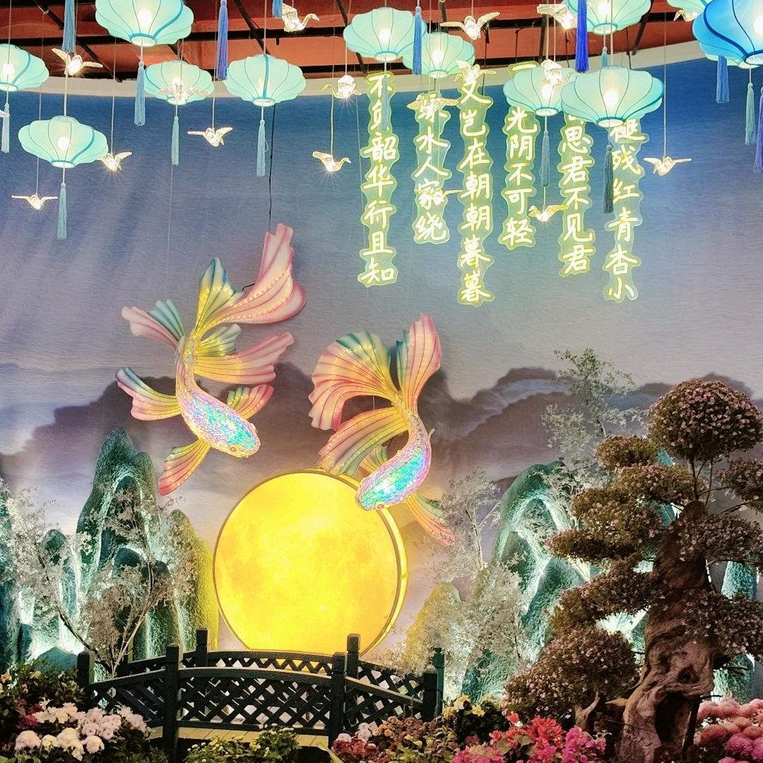 阳光美美