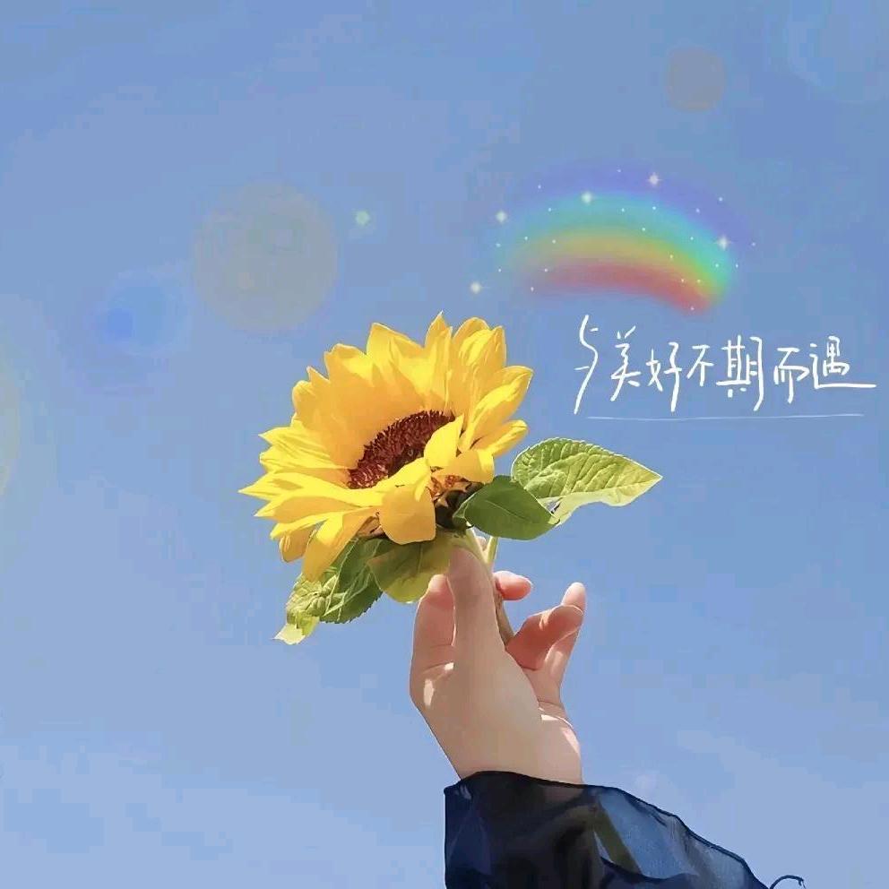 指尖阳光