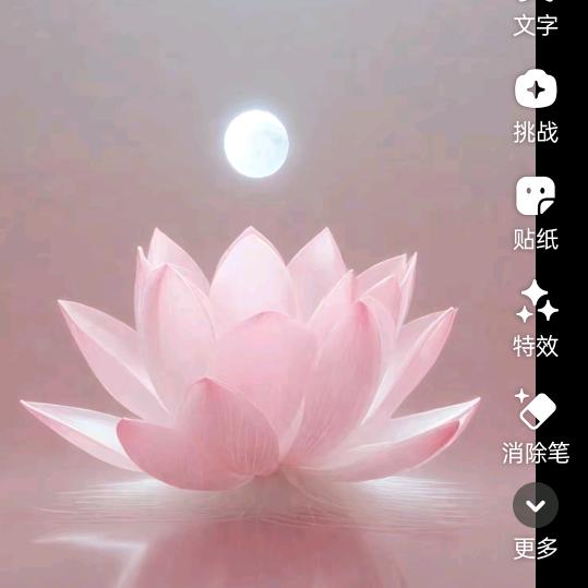 农村韩姐