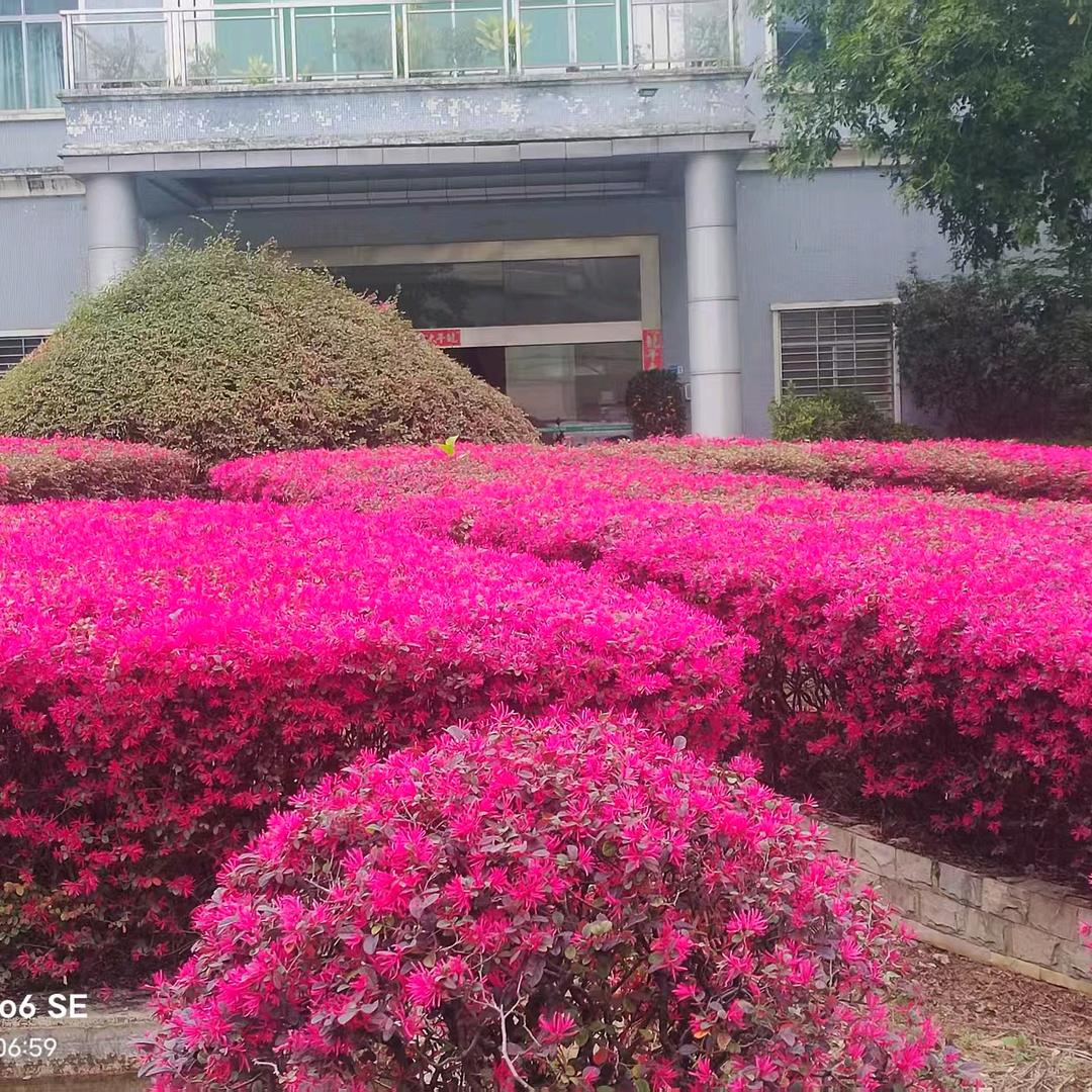 以后不发脾气光发财