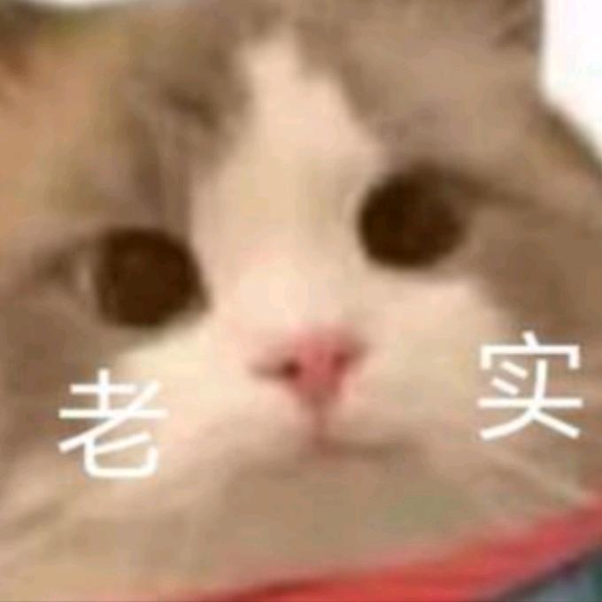 堆堆爵(´ﾟωﾟ｀)