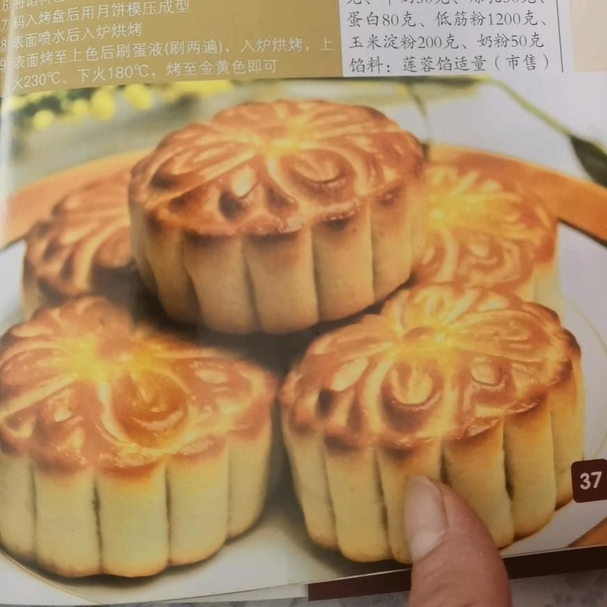 冰城玫瑰