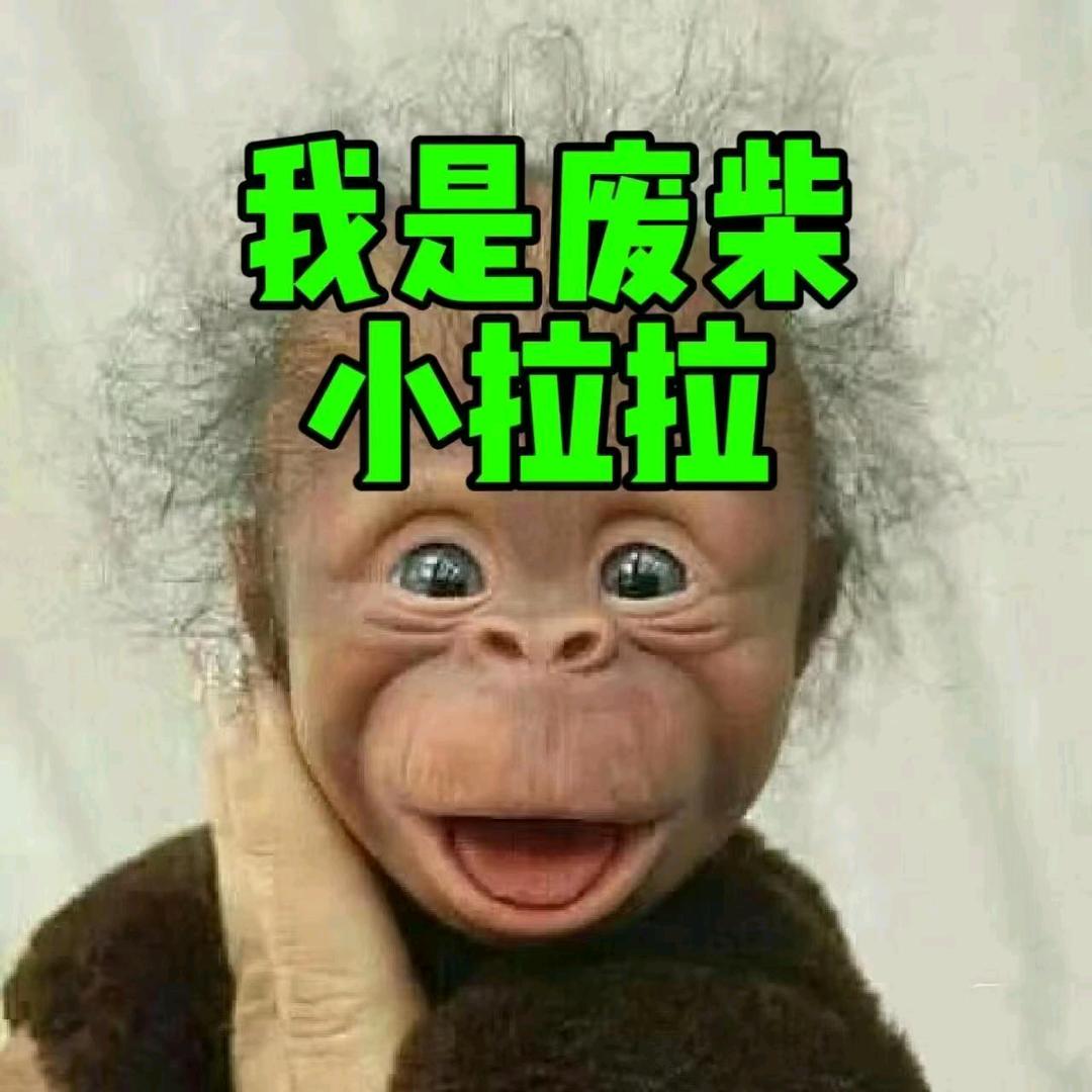 𝓛𝓎.十三¹³