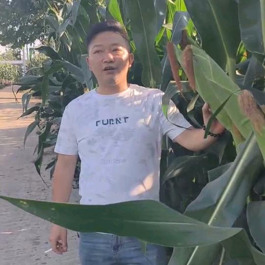 小李农资经营部