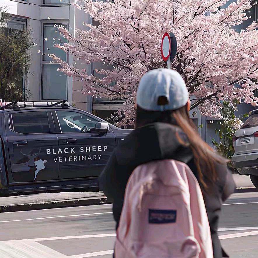 小佳的养猫vlog´•ᴥ•`