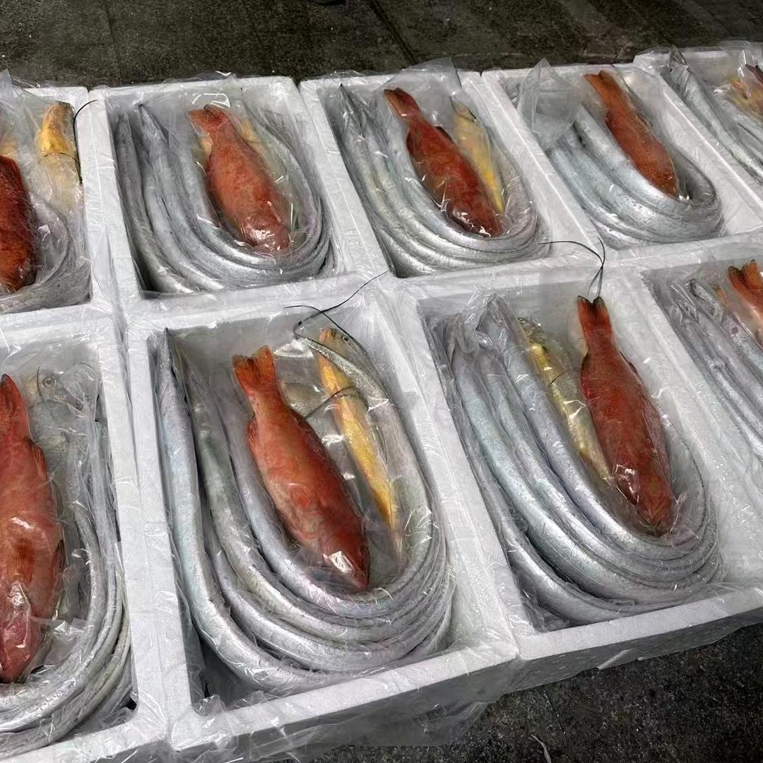 不痛我，别来伤害我