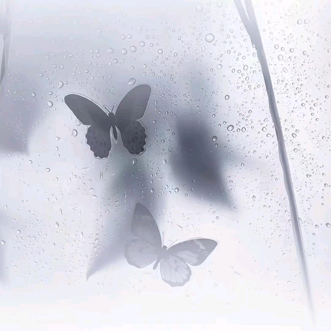 美式加冰💫